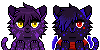 seb & luci